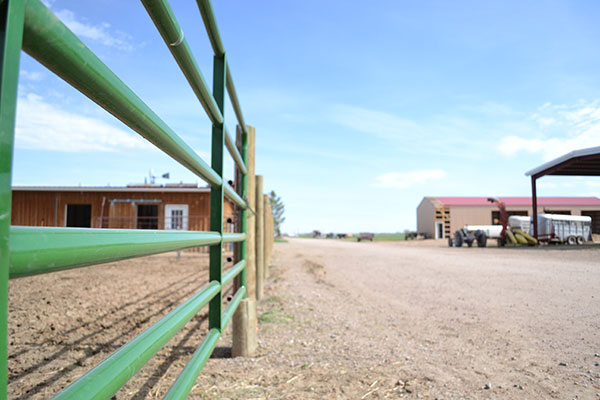 Shrinking But Still Growing :: An Update From Harvest Farm